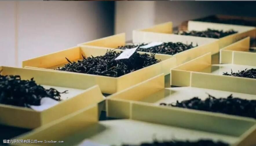 绿茶评审基本操作 绿茶评审基本操作