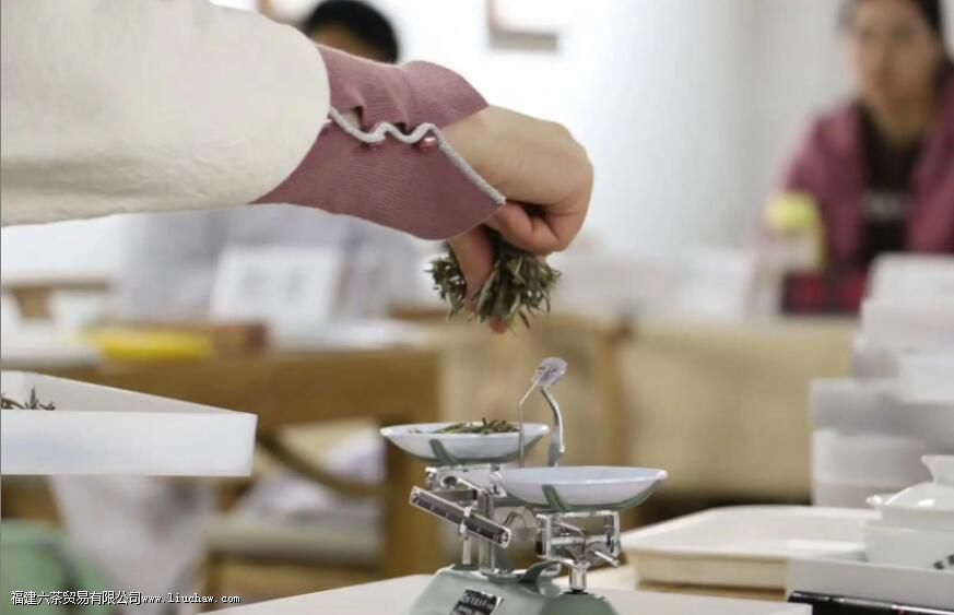 绿茶评审基本操作 绿茶评审基本操作