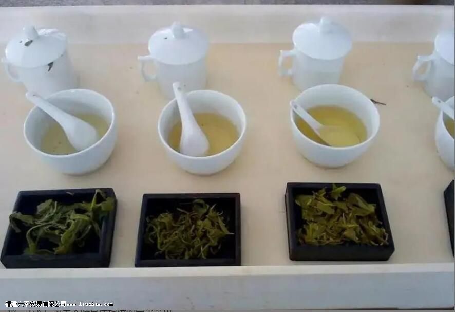 绿茶评审基本操作 绿茶评审基本操作