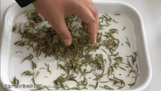 绿茶评审基本操作 绿茶评审基本操作