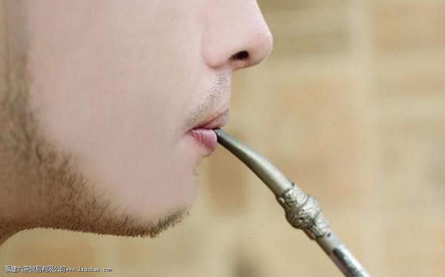 马黛茶怎么泡 马黛茶怎么泡