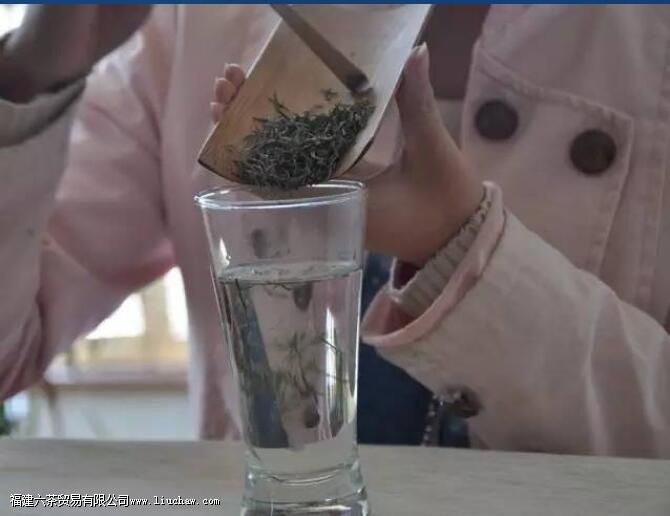 毛尖用多少度的水泡最好 毛尖用多少度的水泡最好