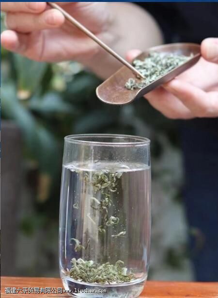 明前碧螺春怎么泡 明前碧螺春怎么泡