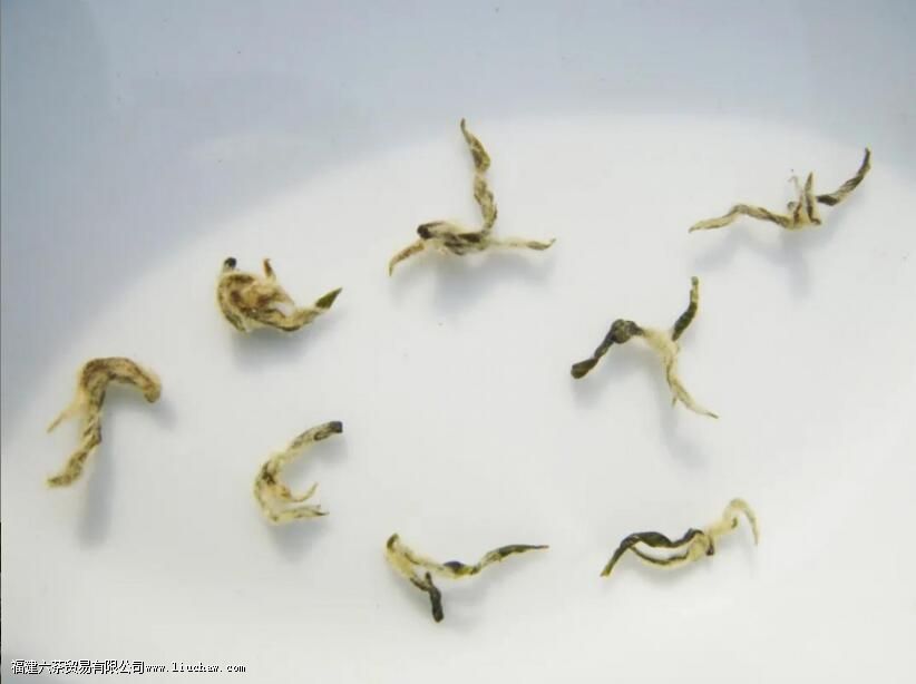 明前碧螺春怎么泡 明前碧螺春怎么泡