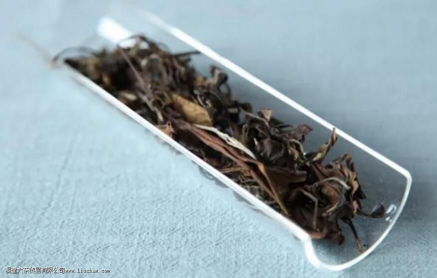 哪些茶适合蒸,哪些茶适合煮 哪些茶适合蒸,哪些茶适合煮