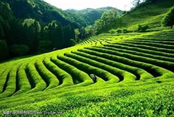 �Ჴ�������ô�ݲ���ȷ