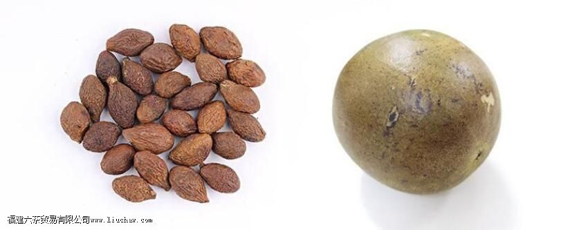 胖大海罗汉果怎么泡水 胖大海罗汉果怎么泡水