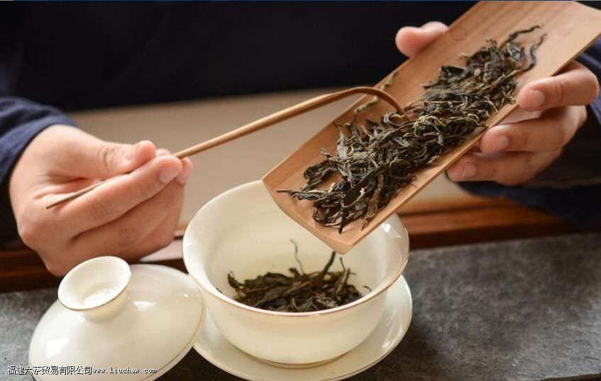 泡茶苦涩难喝!学会这几招,泡一杯好喝的茶不难 泡茶苦涩难喝!学会这几招,泡一杯好喝的茶不难