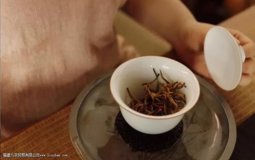 泡茶苦涩难喝!学会这几招,泡一杯好喝的茶不难 泡茶苦涩难喝!学会这几招,泡一杯好喝的茶不难