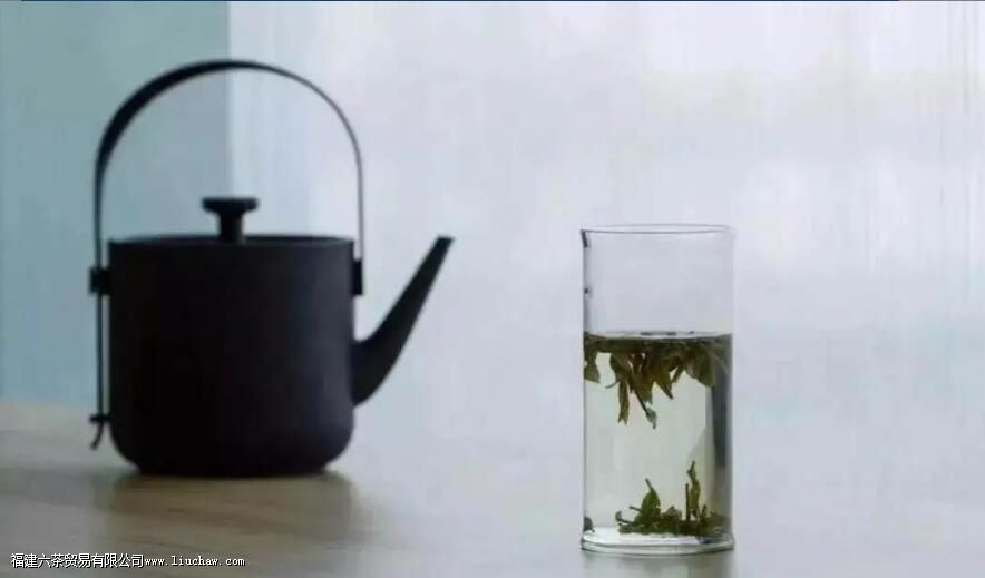 �ݲ���Ͷ����������