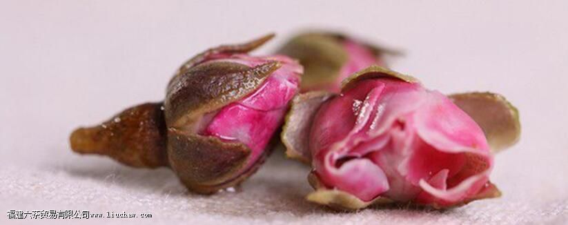 ��õ�廨����Էŷ�����