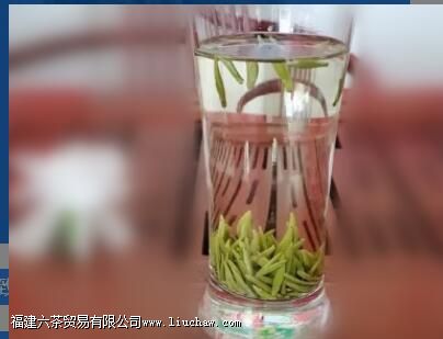 ��һ���̲裬Ͷ�������ٺ���