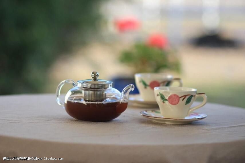 Ʈ�ݱ����ݳ��ò���