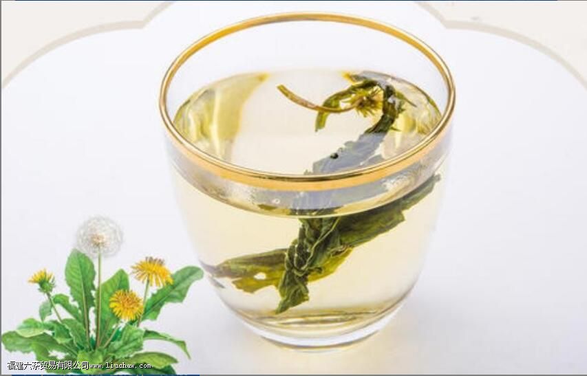 蒲公英茶泡几次 蒲公英茶泡几次