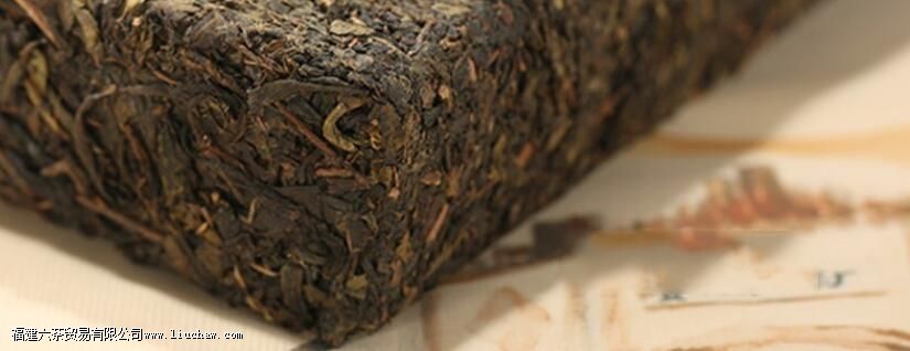 ��ש��ĳ��ݷ���