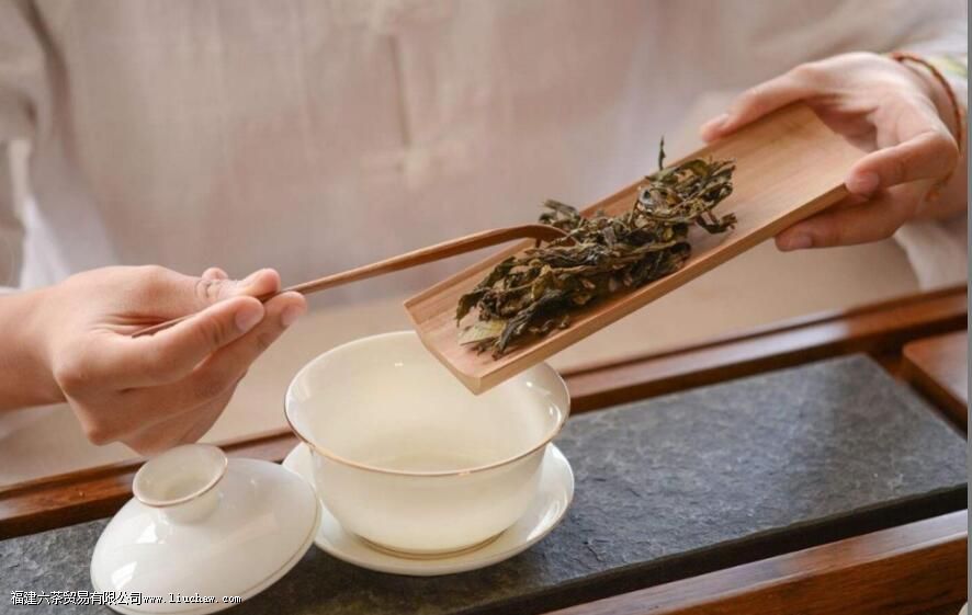 如何进行洗茶 如何进行洗茶