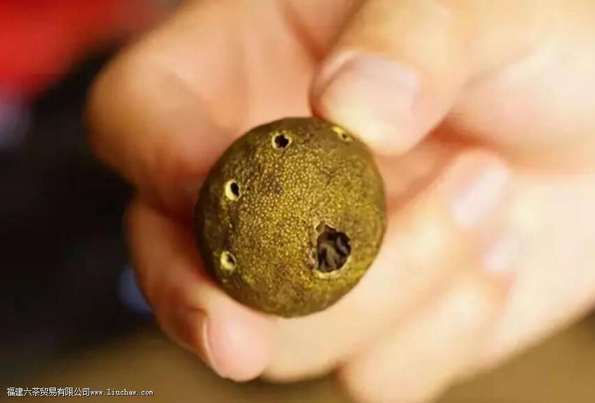 生晒新会小青柑的泡法 生晒新会小青柑的泡法