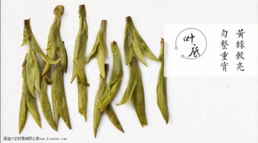 ʨ�����������