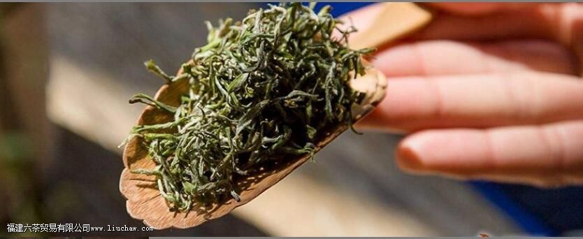 �ʺ���Ͷ���Ĳ�