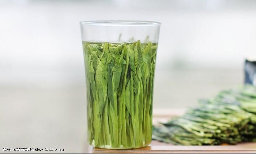 �ʺ���Ͷ�����̲�����Щ