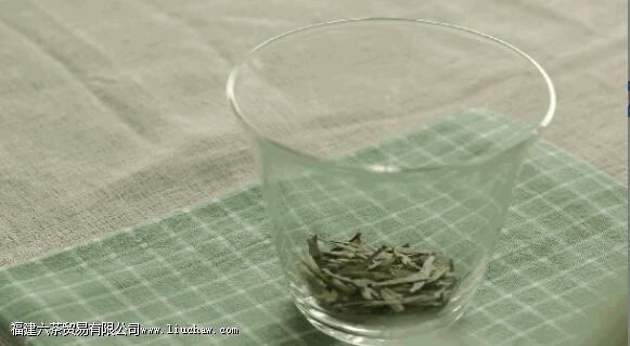 �ʺ���Ͷ�����̲�����Щ