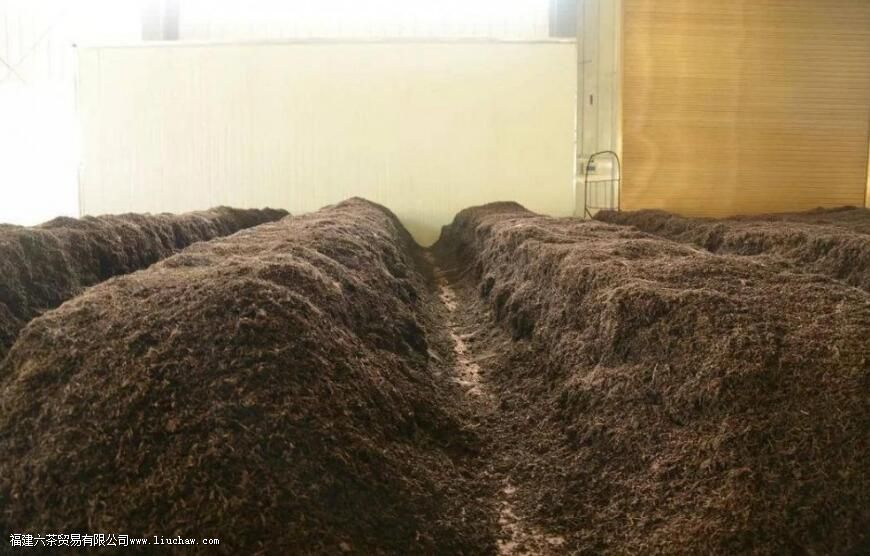 碎银子能煮着喝吗 碎银子能煮着喝吗