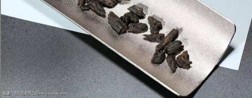 �������ն���Ϊʲô�ݳ����ǿ��