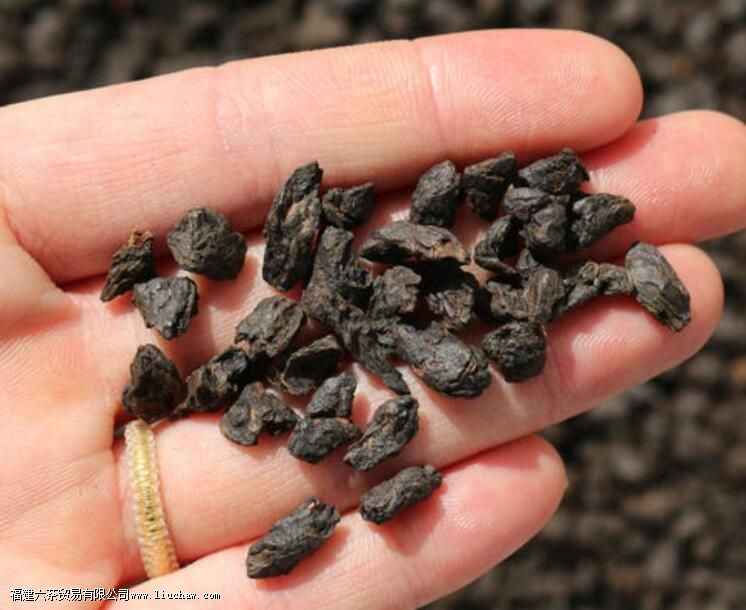 �������ն���Ϊʲô�ݳ����ǿ��