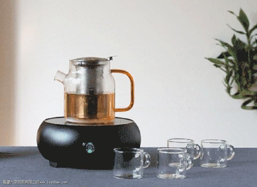 小青柑用煮茶器怎么煮 小青柑用煮茶器怎么煮