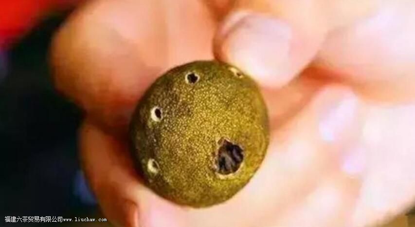 新会小青柑茶怎么泡 新会小青柑茶怎么泡