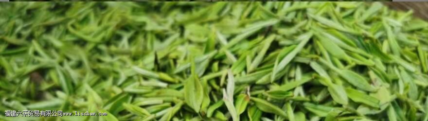 ����ë����ö��ٶȵ�ˮ��