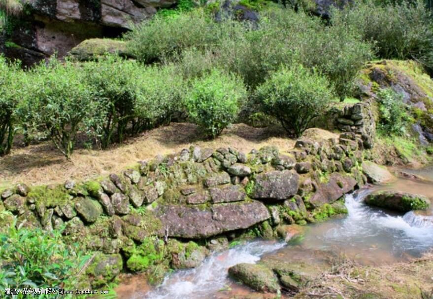 �Ҳ�������