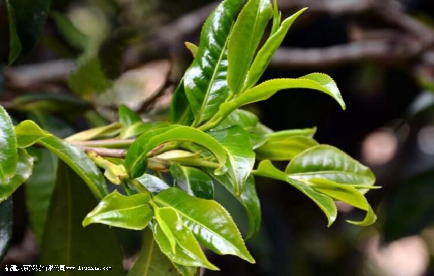 Ұ�����ö��ٶȵ�ˮ��