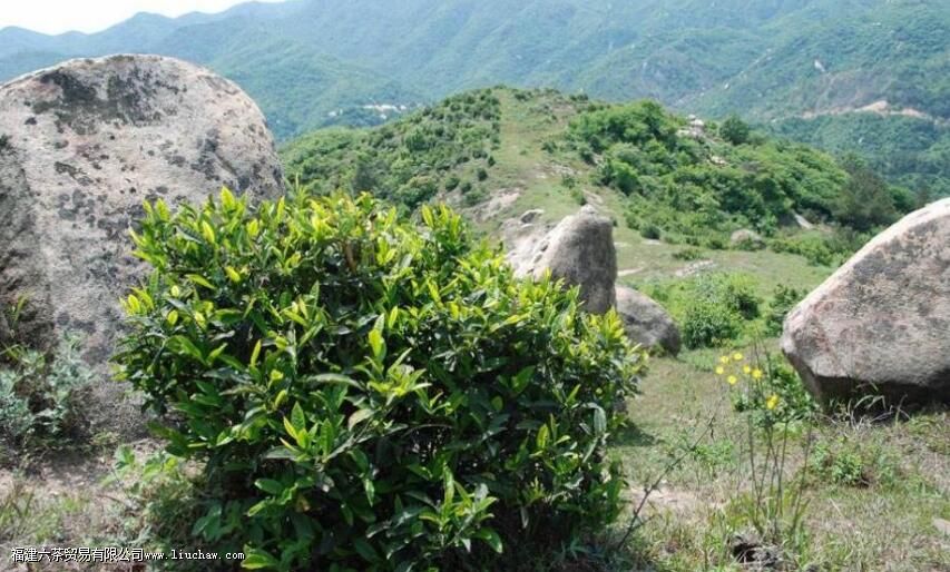 Ұ�����ö��ٶȵ�ˮ��