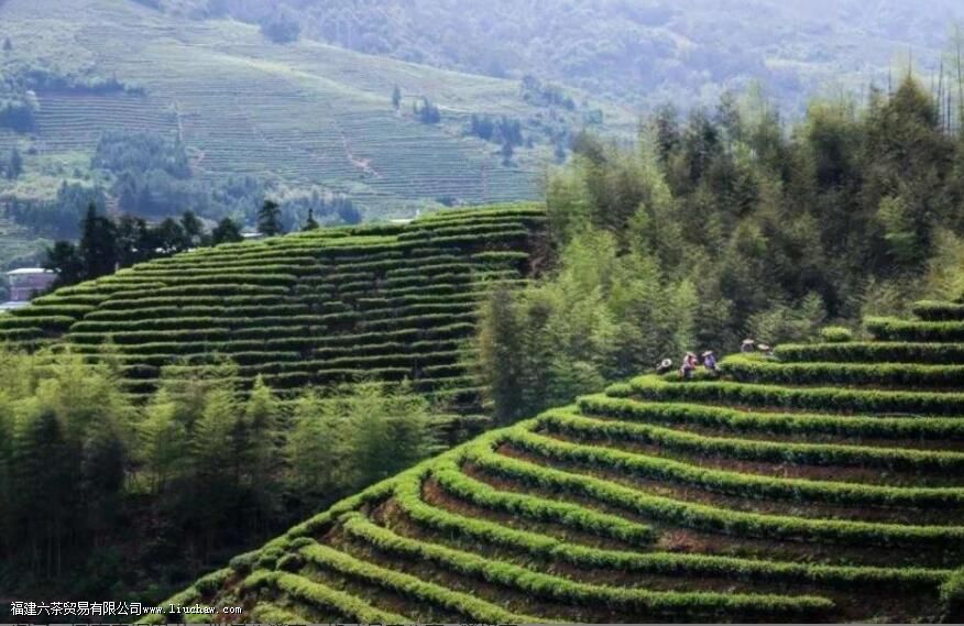 ��ƽˮ�ɿ������ź���