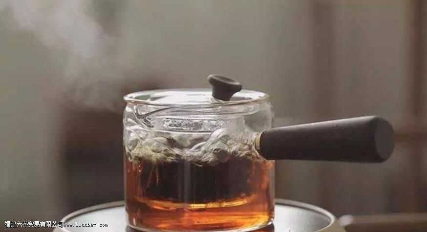 正确的煮老白茶方法 正确的煮老白茶方法