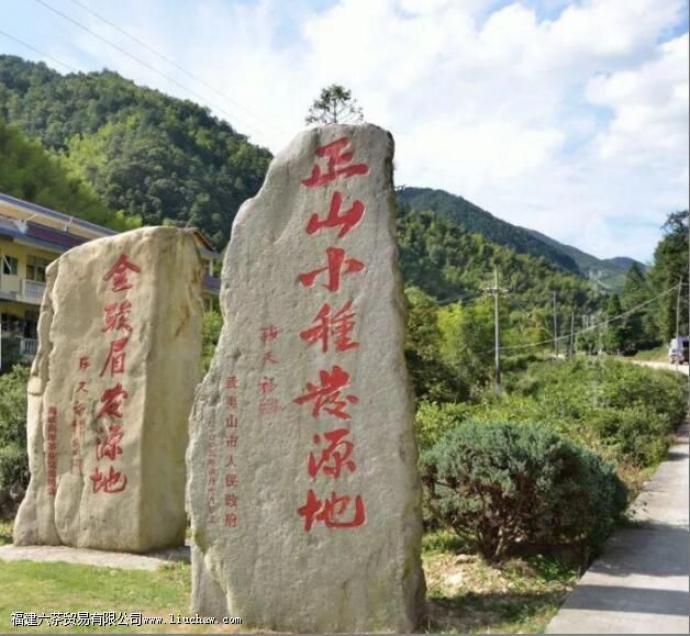 正山小种的茶水比例是多少 正山小种的茶水比例是多少