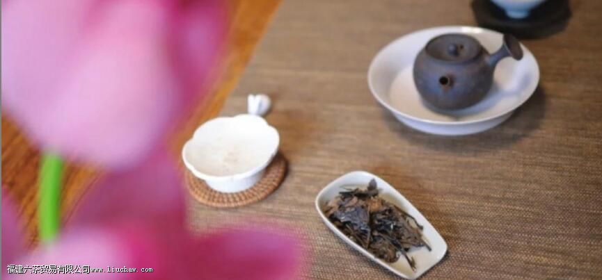 煮白茶的正确方法 煮白茶的正确方法