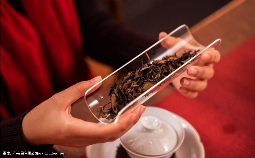 煮白茶的正确方法 煮白茶的正确方法