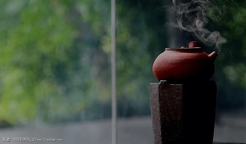 煮白茶的正确方法 煮白茶的正确方法