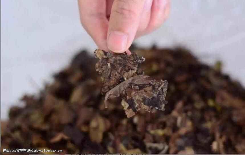 白茶如何储存,注意这些要点才能越存越好 白茶如何储存,注意这些要点才能越存越好