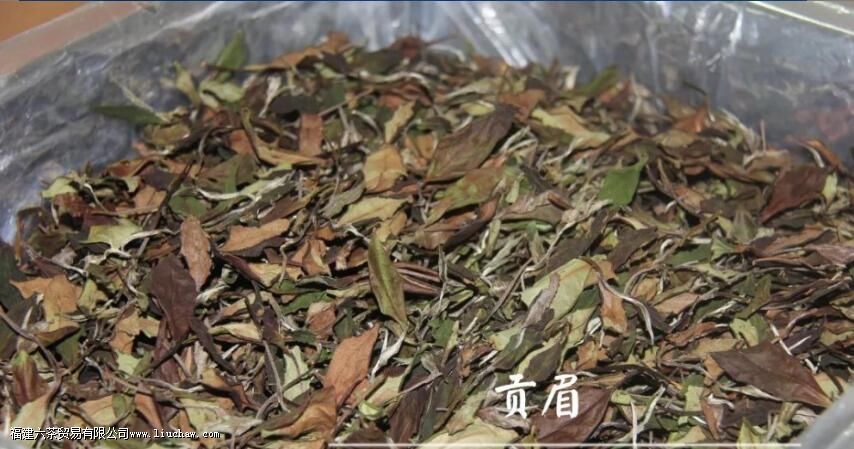 白茶有保质期吗 白茶有保质期吗