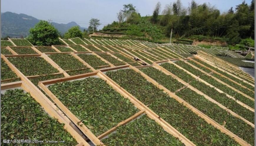 �ײ��б������� �ײ�ı������Ƕ��