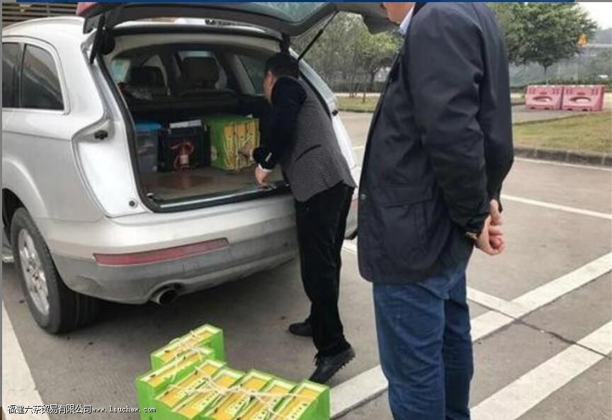 ��Ҷ�ų�����»�������