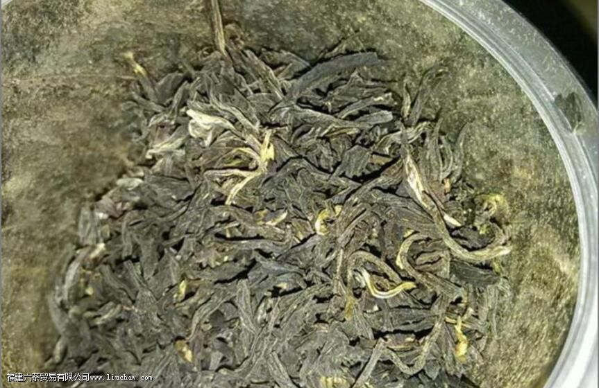 ��Ҷû��⵫���˱����ڣ����ܲ��ܺ�