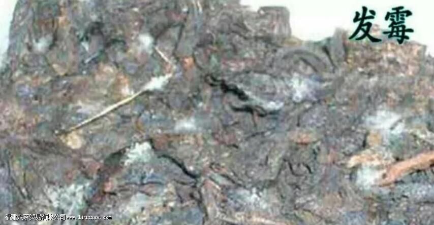 ��Ҷû��⵫���˱����ڣ����ܲ��ܺ�