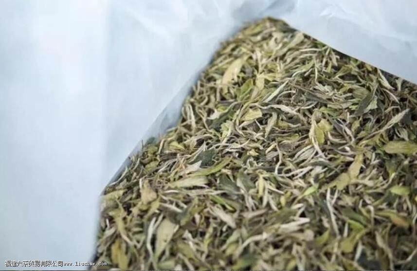 茶叶需要放冰箱保存吗 茶叶需要放冰箱保存吗