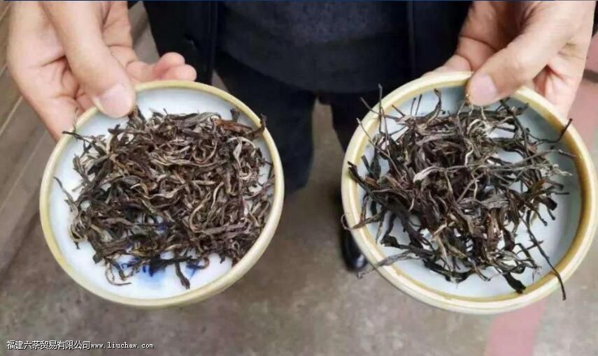 ���ز�ҶӦע����Щ