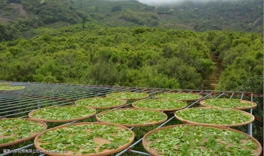 ���Բ�Ҫ��Ҫ�ű���