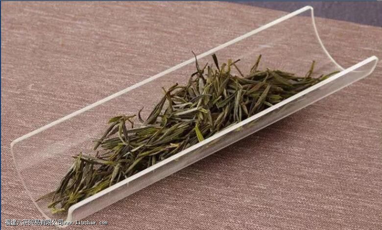 黄茶的存放 黄茶的存放